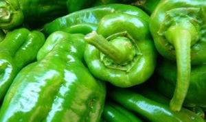 Green Chile Peppers