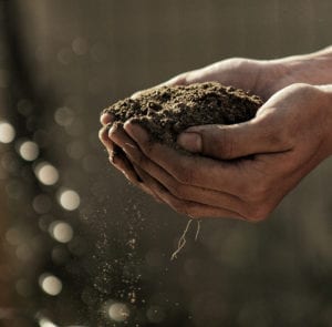 Hands holding dirt