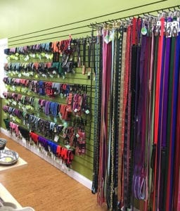 Pet leashes and collars at Your Healthy Pet