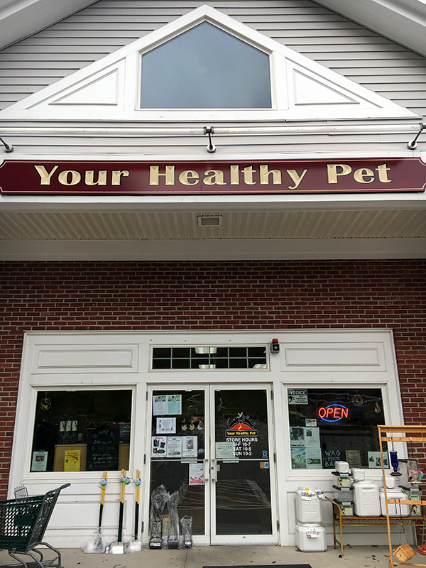Front of Your Healthy Pet