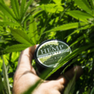 Hemp Salve