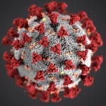 Coronavirus cell Covid-19