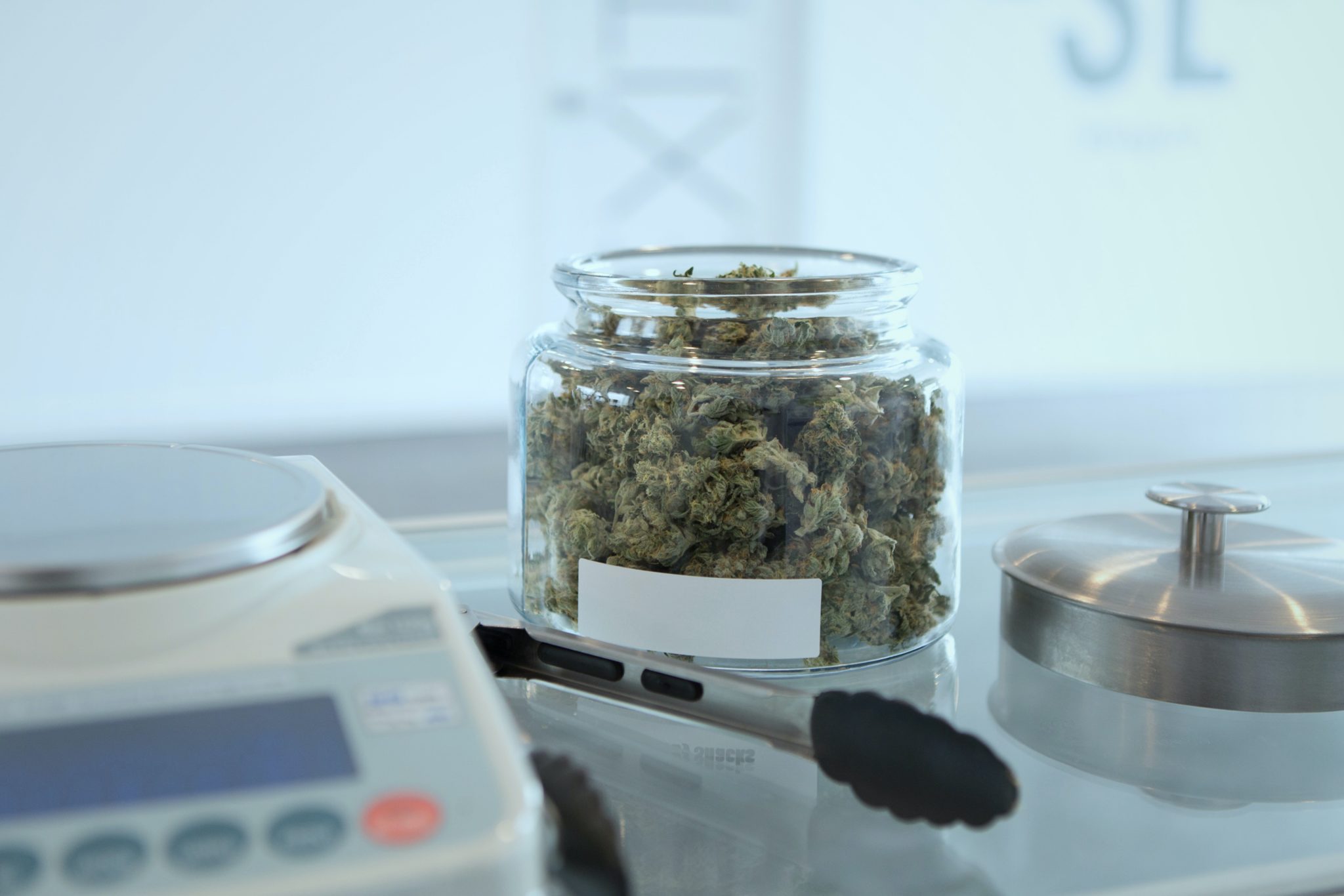 Scale with Cannabis plants in a jar in the background