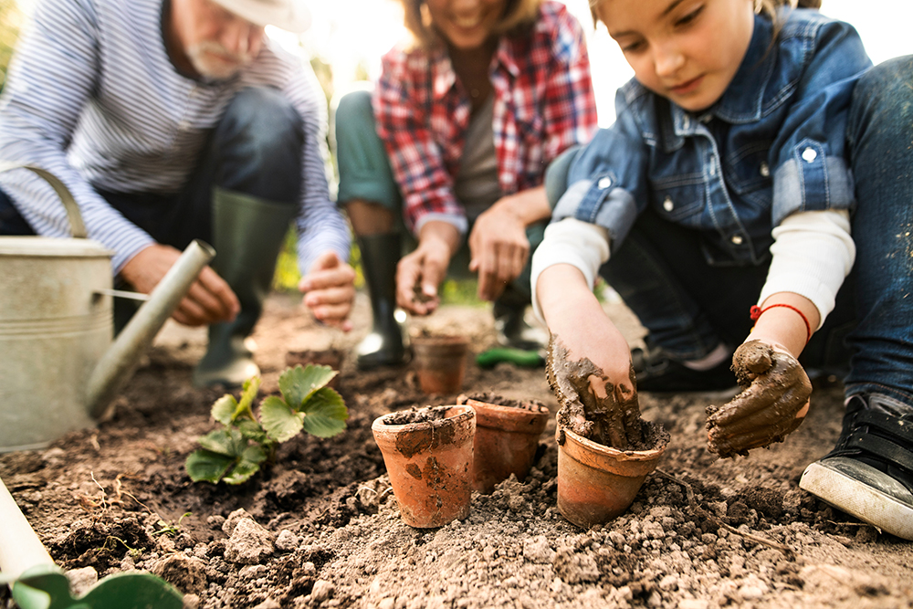 Male and female adults gardening with a child. Putting dirt into flower pots.