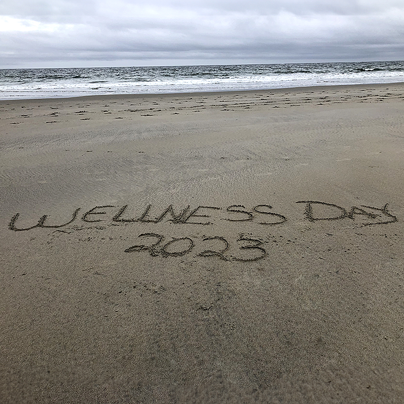 Wellness Day 2023 written in sand on the beach with the ocean in the background