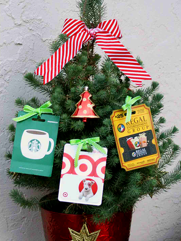 Small pine tree in a pot with gift cards attached to it.