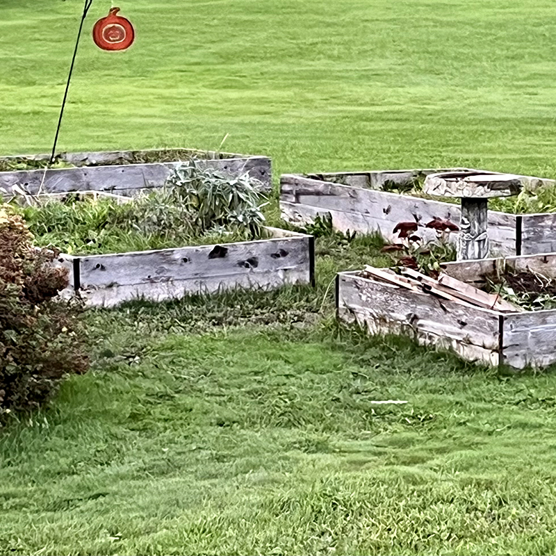 Garden boxes in a grassy field.