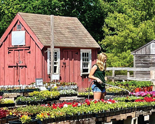 Women watering flowers at a farm