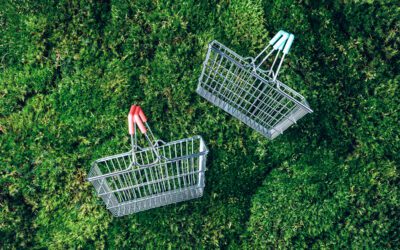 Two shopping baskets laying on grass