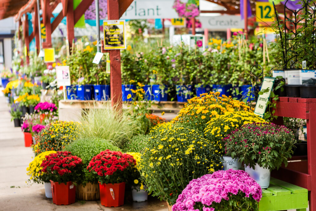 fall garden center