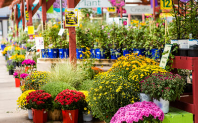 fall garden center