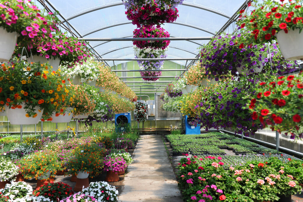 Harvesting Growth: Introducing the Powerful New Garden Growth Bundle
