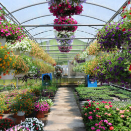 garden center pos