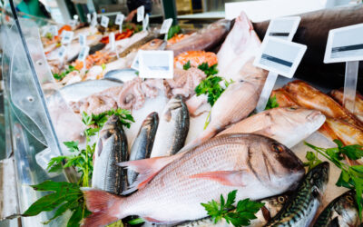 Wholesle Food Retailer | Seafood