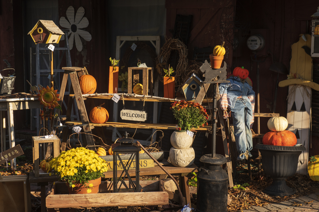 thrifty display